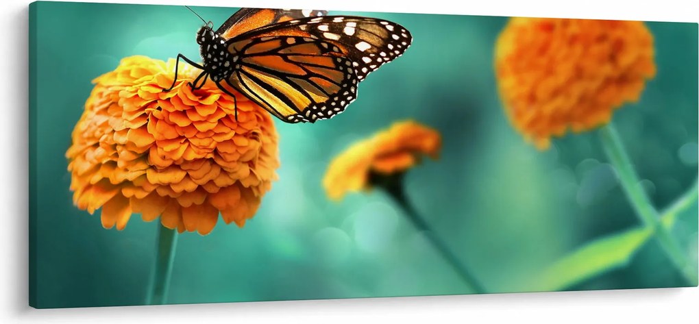 Egy pillangó képe (120x50 cm)