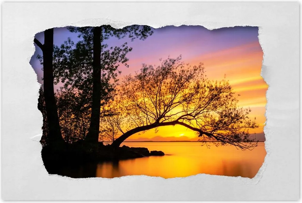 Poszterek 120x80 Fák Naplemente