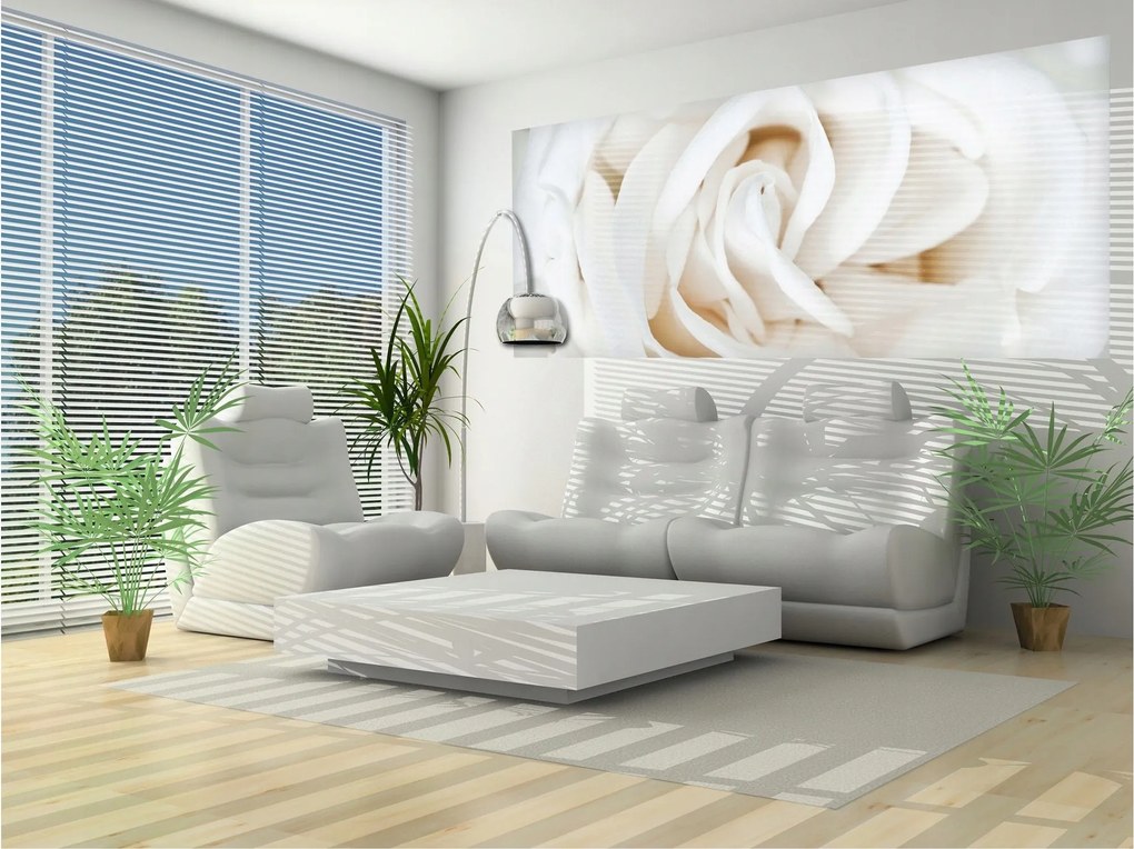 Flizelin fotótapéta Fehér virágok Elegancia és harmónia 250x104 +ragasztó