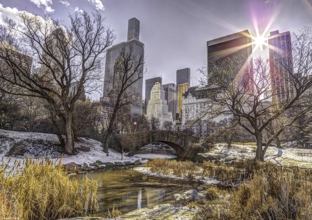 Poszter 29,7x21cm Központi park Alsó-Manhattan panorámával, Assaf Frank