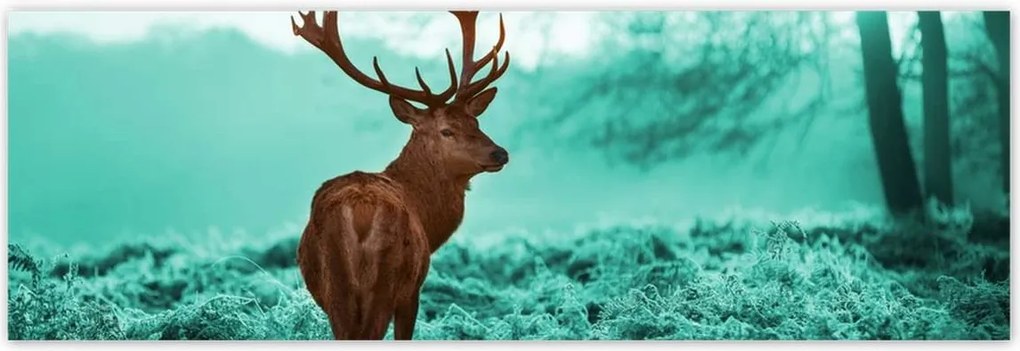 Poszterek 200x66 Szarvas a türkiz erdőben
