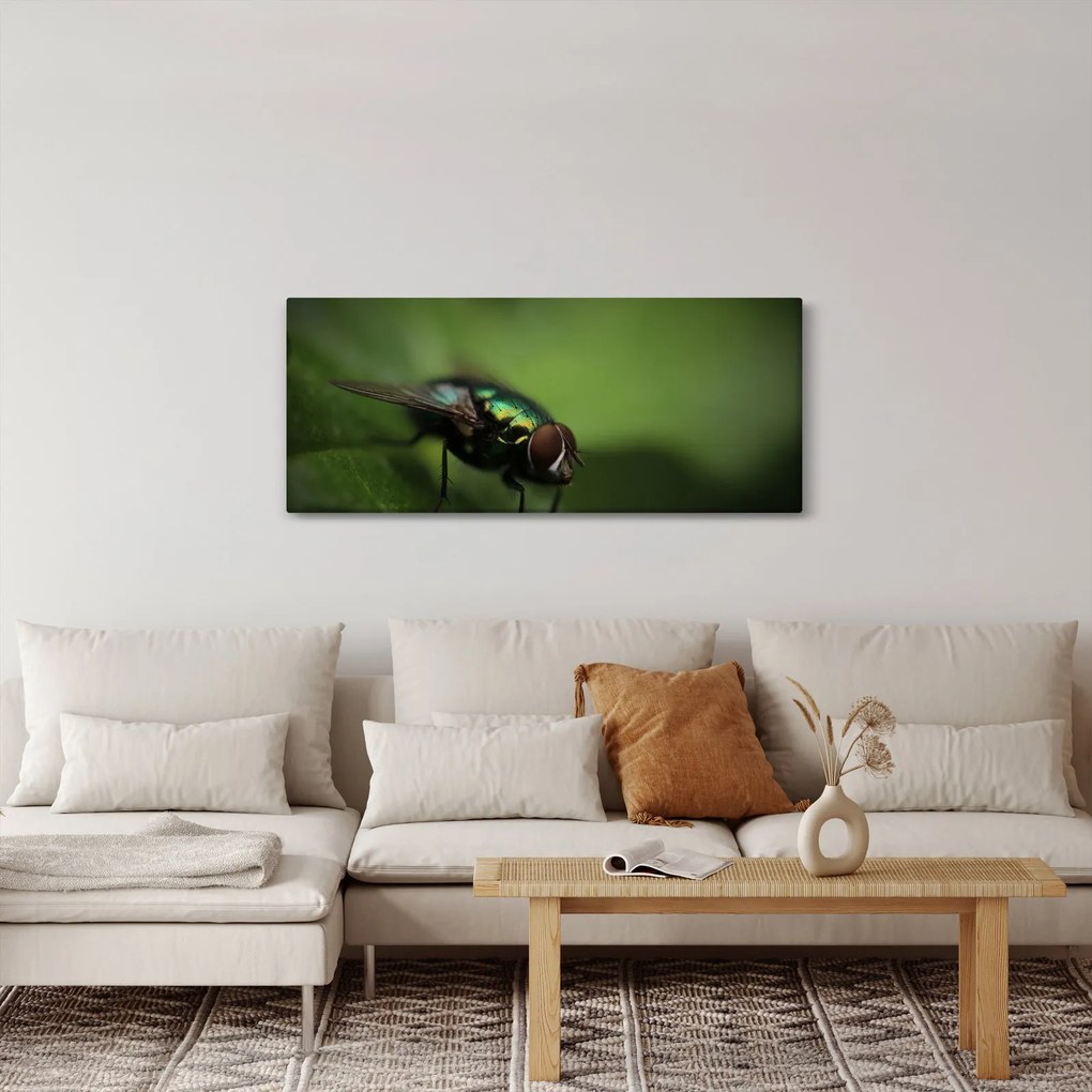 Kép - Légy (120x50 cm)