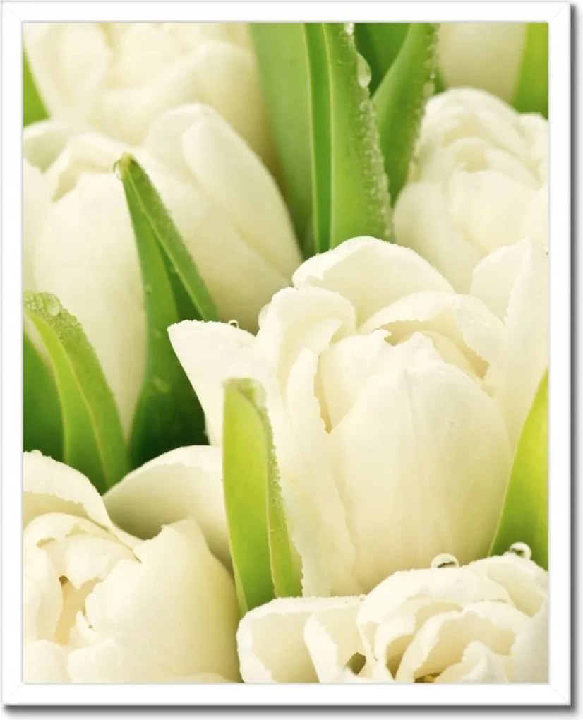 Poszterek keretben 40x50 Finom tulipánok