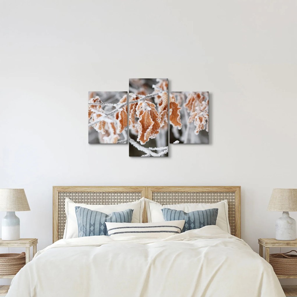 Kép - Fagyott levelek (90x60 cm)