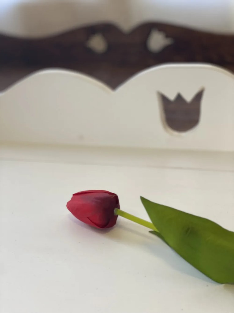 Tulipán fenyő láda ( 24 kód )