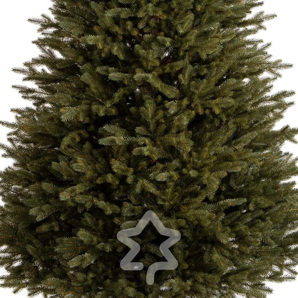 Kanadai lucfenyő 100 % 220 cm