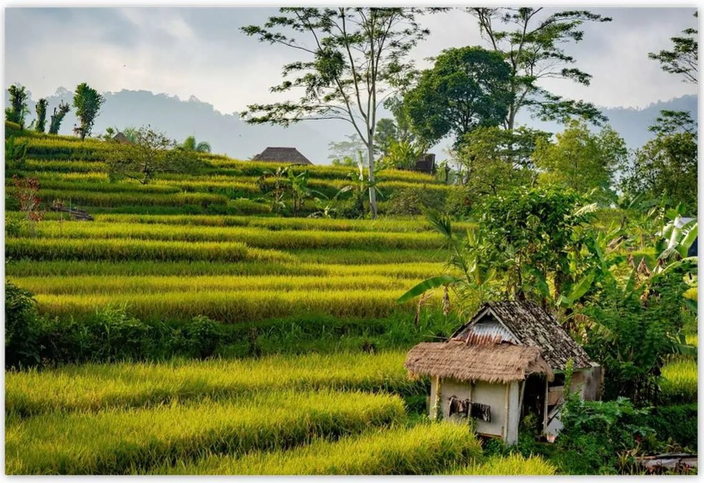 Poszterek 200x135 Tájkép Látvány