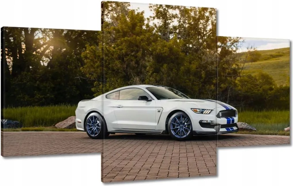 Képek 100x60 Ford Mustang Usa autó