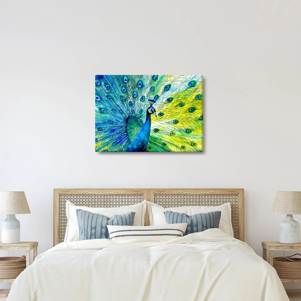 Páva képe (70x50 cm)