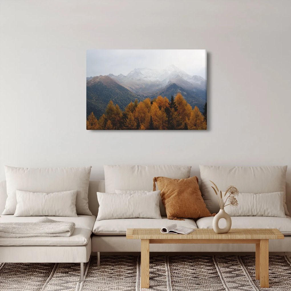 Kép - Kilátás a hegyre (90x60 cm)