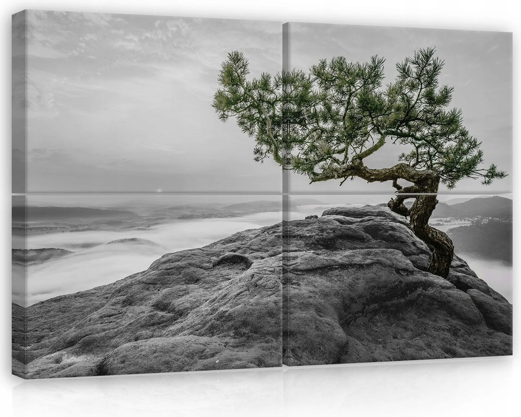 Vászonkép 120x80 szikla fa köd hegyek tájkép fekete-fehér természet nyugalom