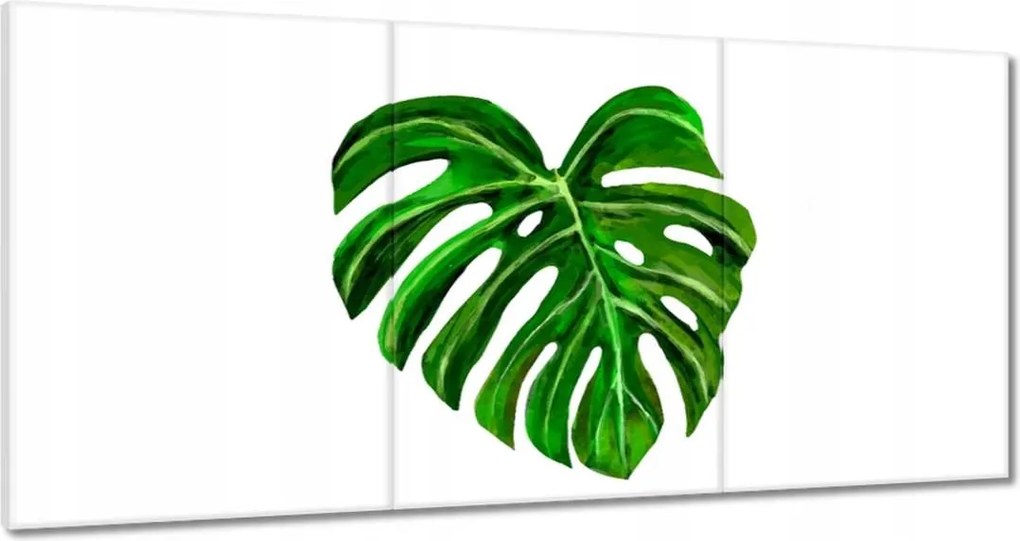 Vászonkép 60x30 Monsera levél lyukas