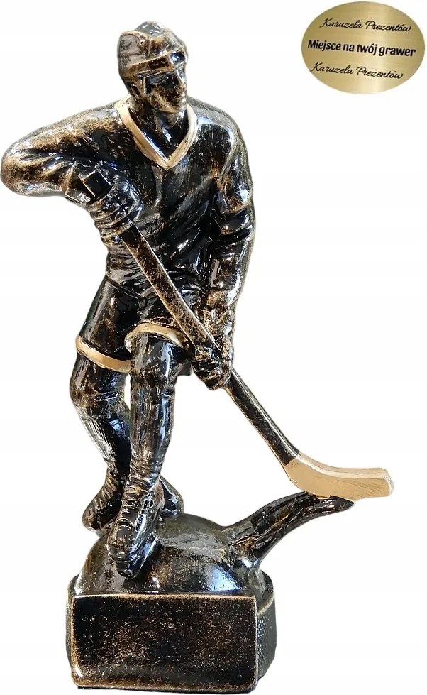 Jégkorongozó Figura Szobor Trófea Jutalom Sport Klub Dekoráció Íróasztal