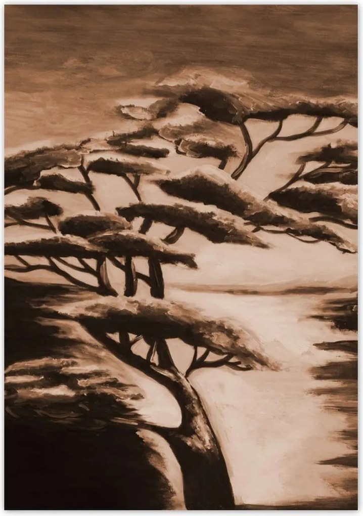 Poszterek 70x100 Afrikai fa