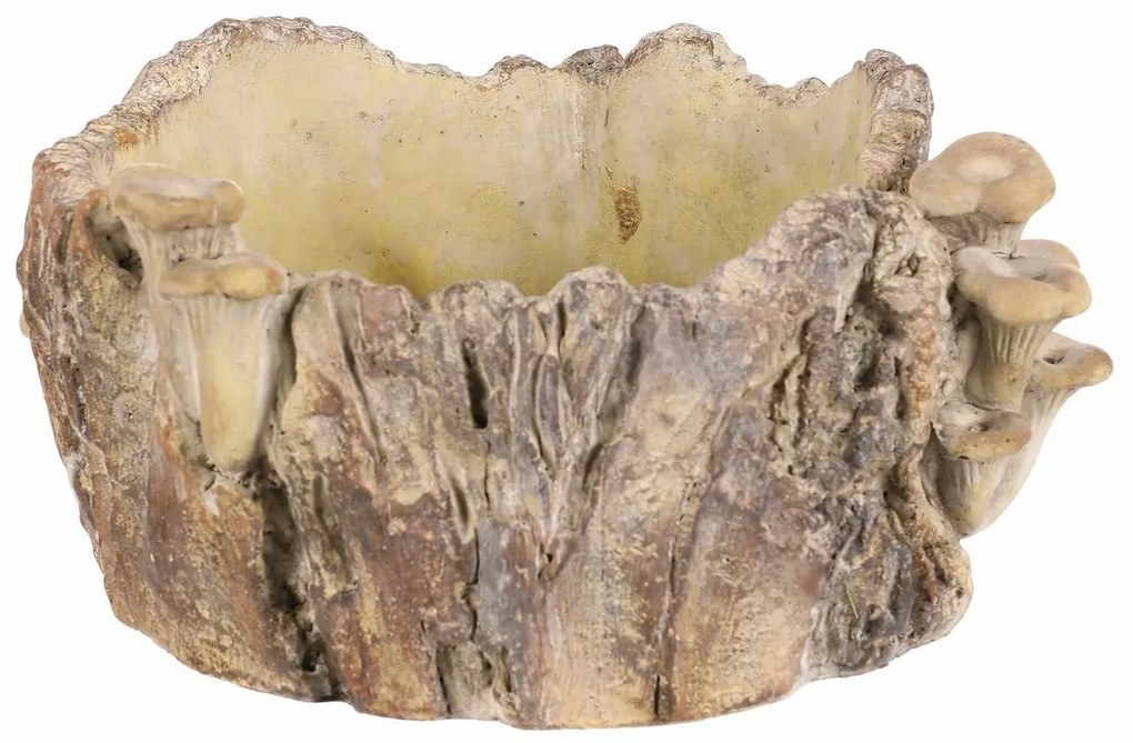 Beton burkolat - tusk with mushrooms, 26 x 24 x 14cm, 26 cm