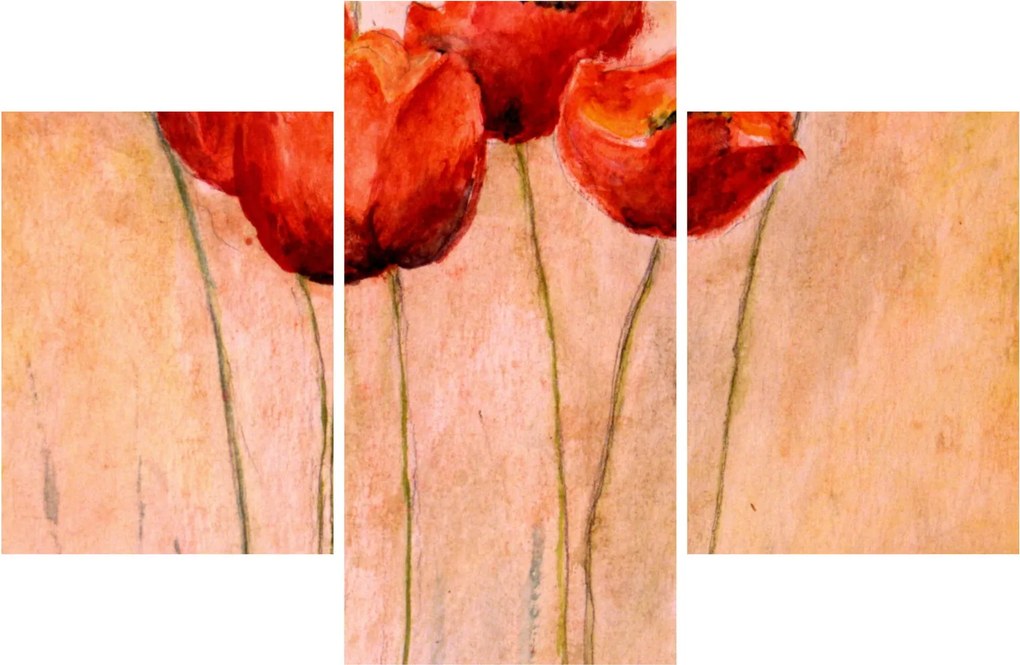 Kép - piros tulipán (90x60 cm)