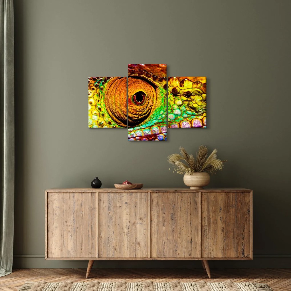 Kép - Kaméleon (90x60 cm)