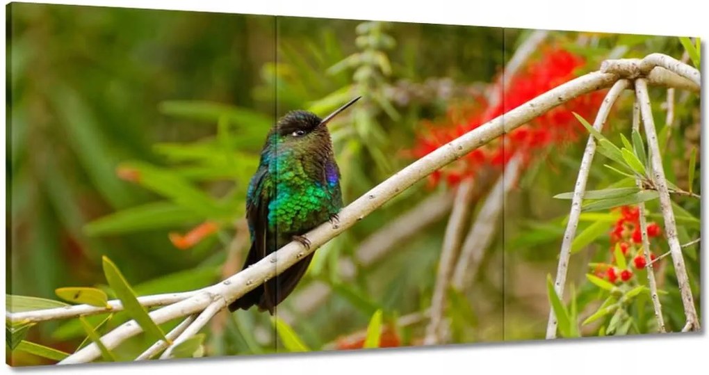 Vászonkép 180x90 Madarak