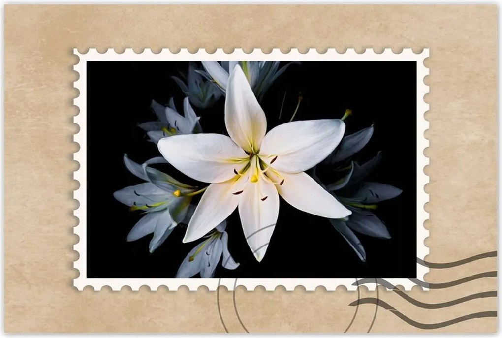 Poszterek 120x80 Fehér liliom csokor Virág