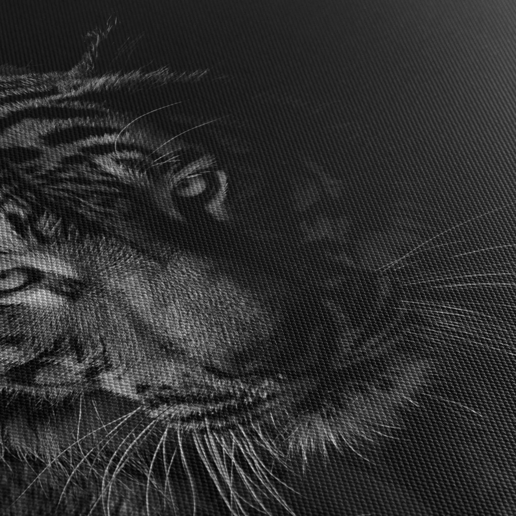 Egy vadtigris képe (70x50 cm)