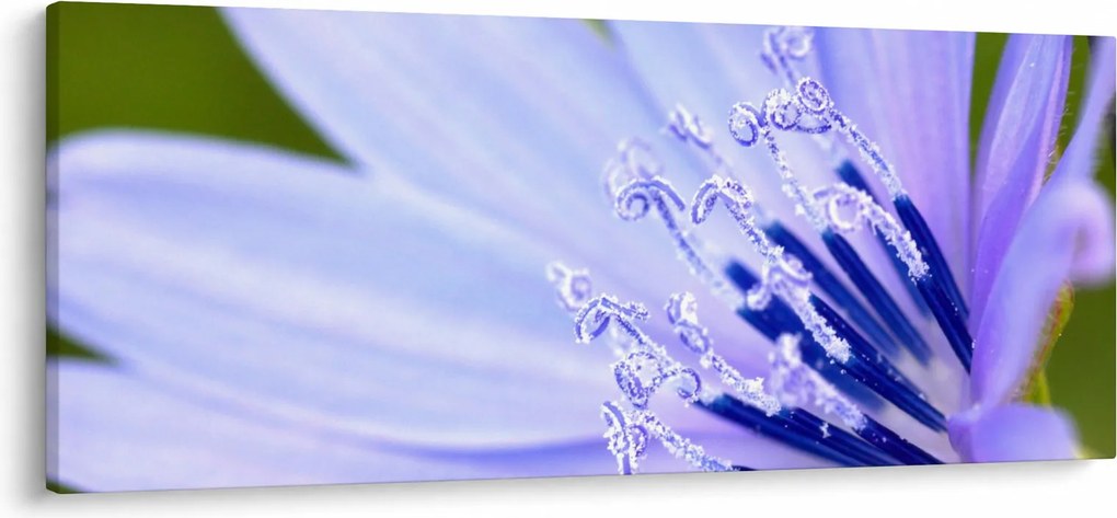 Kép - Virág (120x50 cm)
