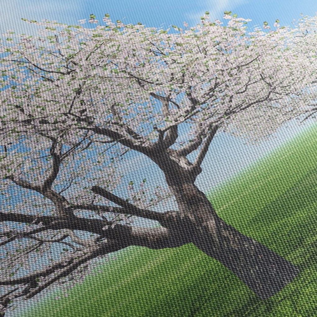 Fa képe (150x105 cm)