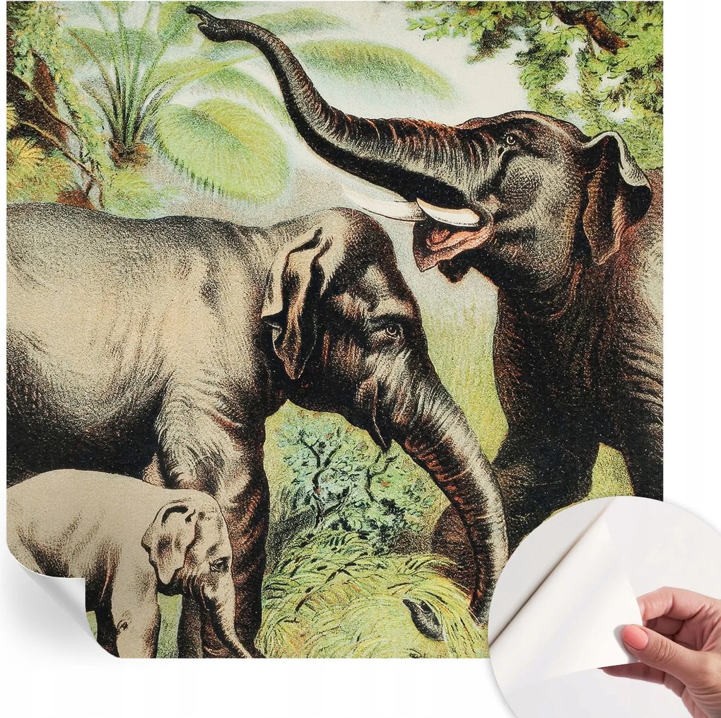 Öntapadós tapéta Fali furnér 3D hatás Családi elefántok 250x250 cm