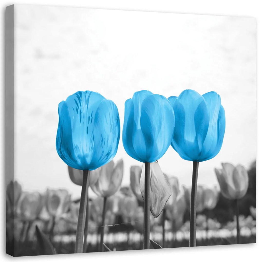 Gario Vászonkép Kék tulipánok Méret: 40 x 40 cm