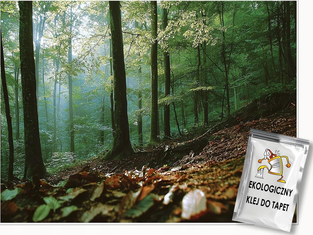 Fotótapéta Erdő 3D Természet Fák Tájkép Falra Hálószoba Nappali 200x140