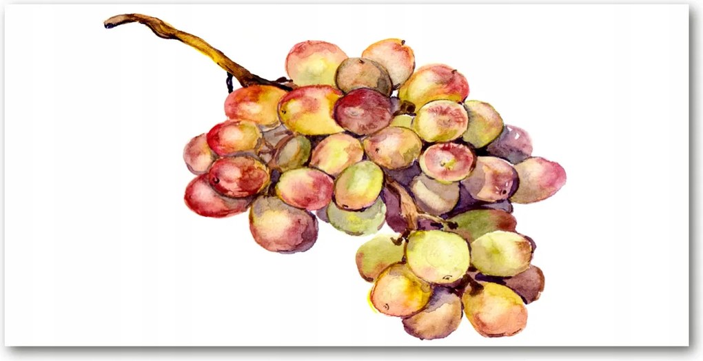 Fotó kép edzett üveg Szőlőfürt 140x70