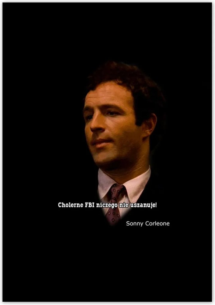 Poszterek 70x100 Godfather Sonny Idézetek
