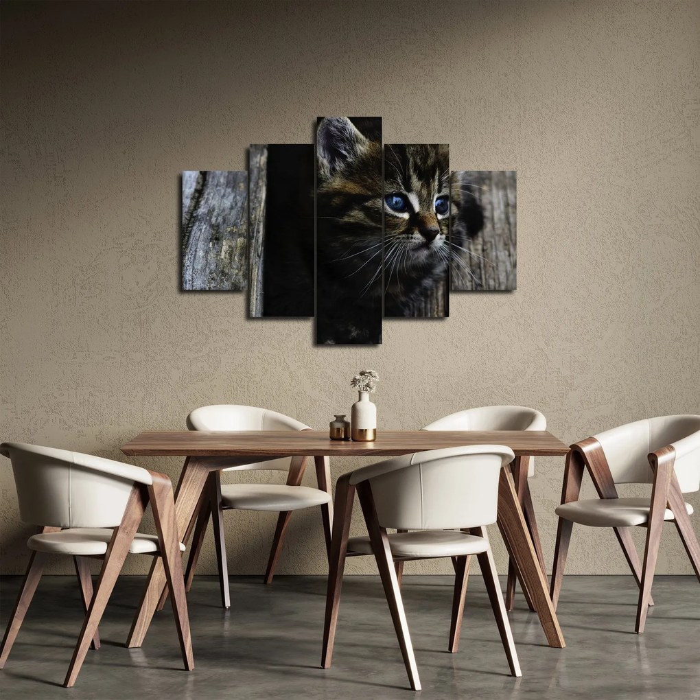 Cica képe (150x105 cm)