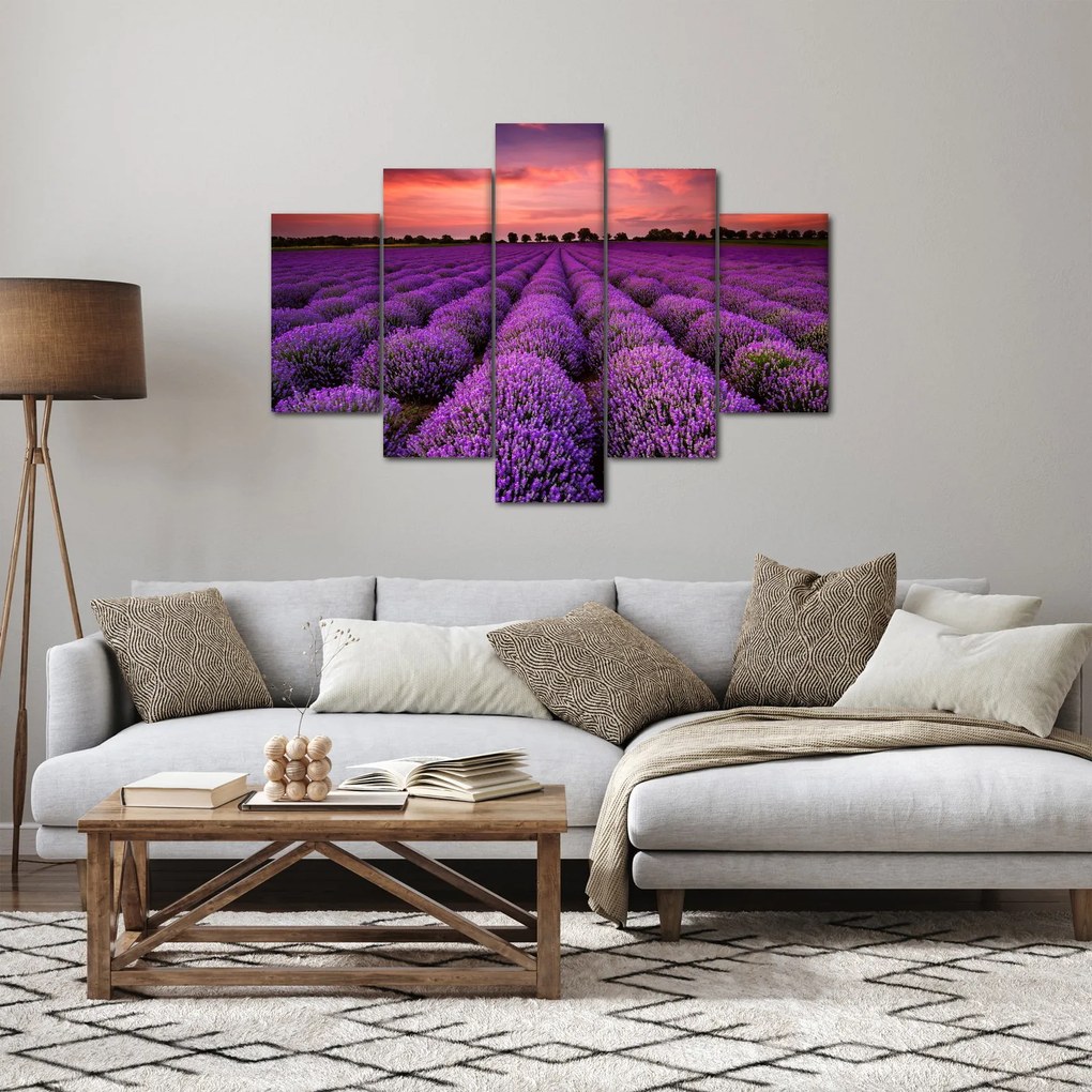 Kép - Levendula mező (150x105 cm)