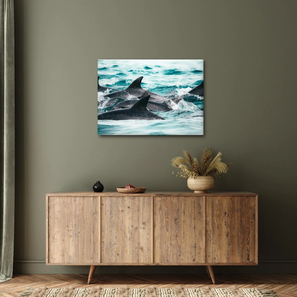 Kép - Delfinek az óceánban (70x50 cm)