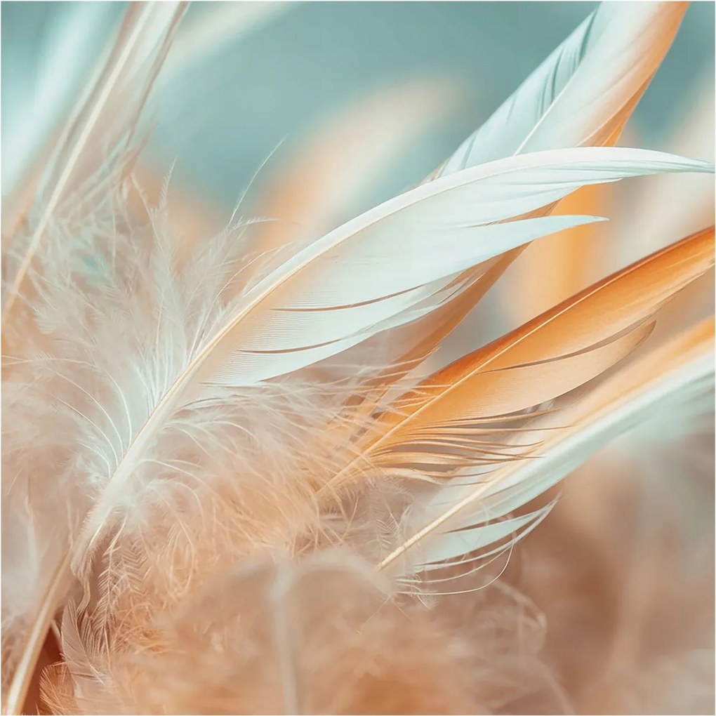 Flizelina fotótapéta Nappaliba és Hálószobába Finom tollak 250x250