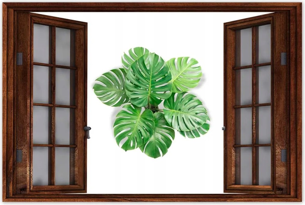 Poszterek 120x80 Lyukas szörny levelek