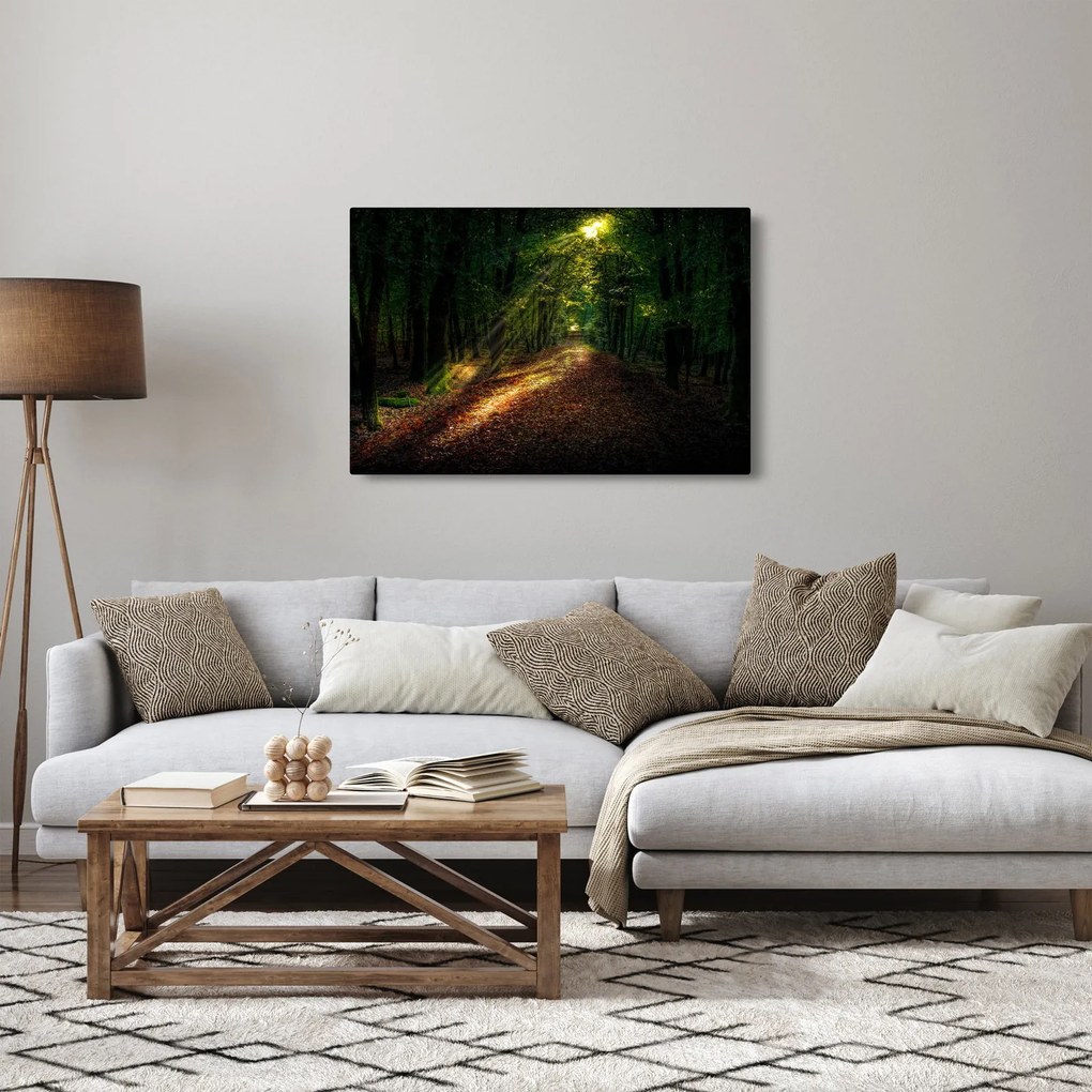Erdei út képe (90x60 cm)