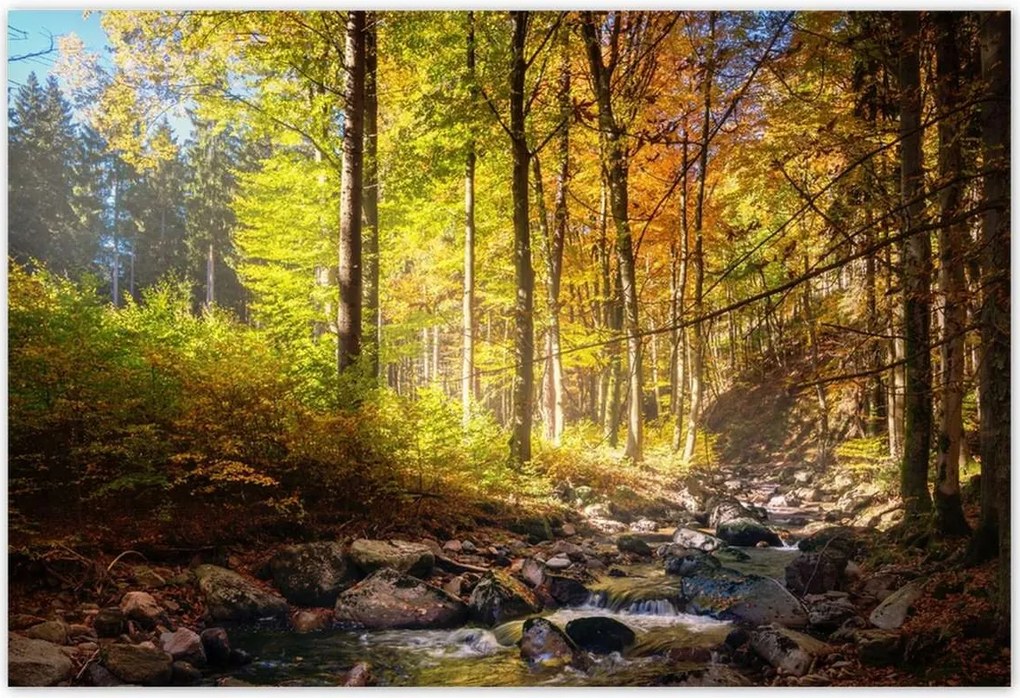 Poszterek 185x125 Tájkép