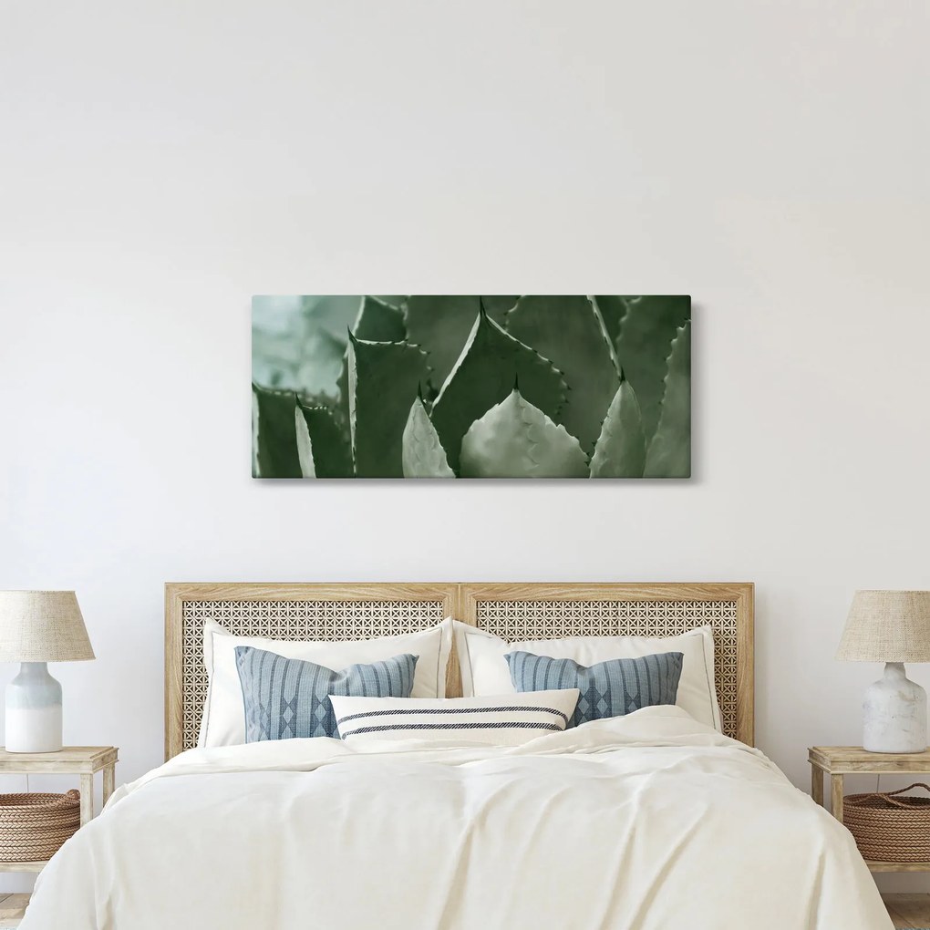Kép - Zöld agávé (120x50 cm)
