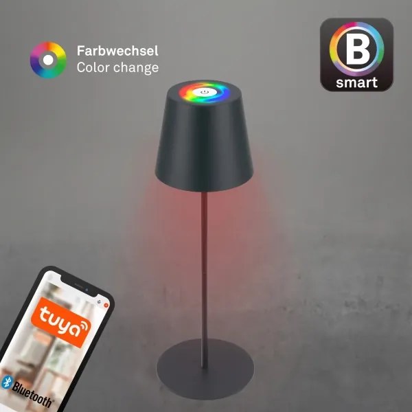 Briloner 7559015-LED RGB asztali lámpa COLORIS 3,5W/5V IP44 2000mAh Wi-Fi Tuya