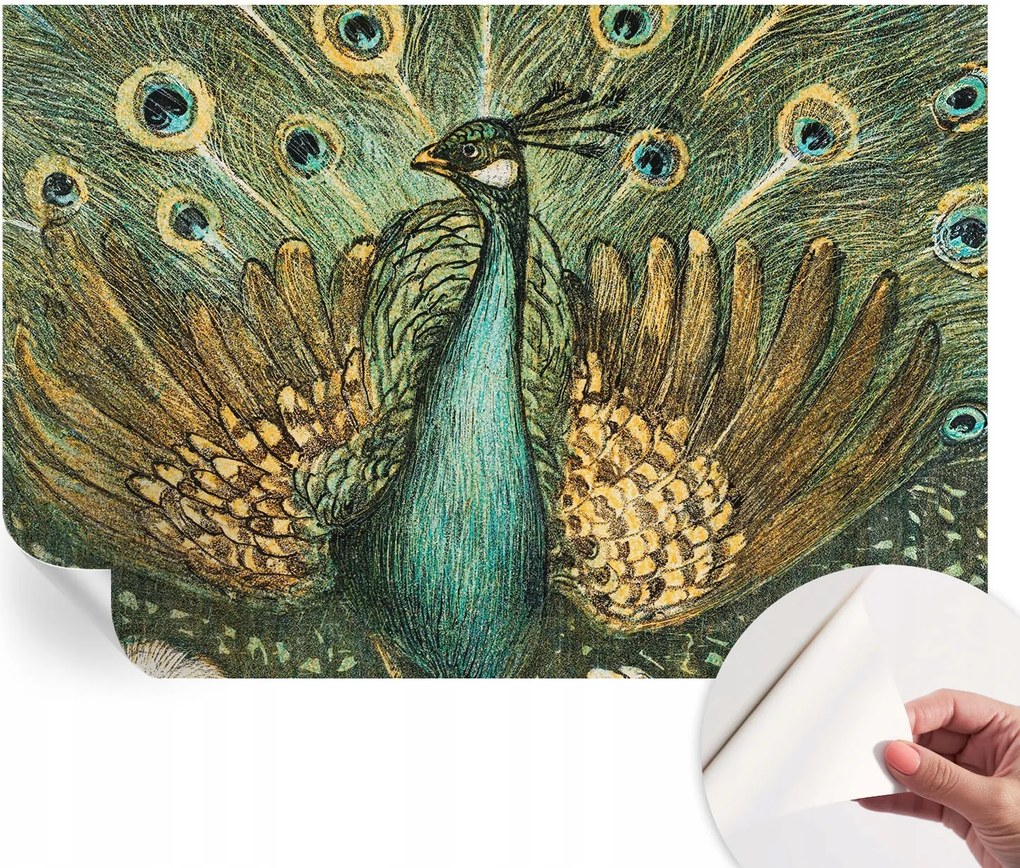 Öntapadós fali fotótapéta Hálószobába Fenséges páva 152x104 cm