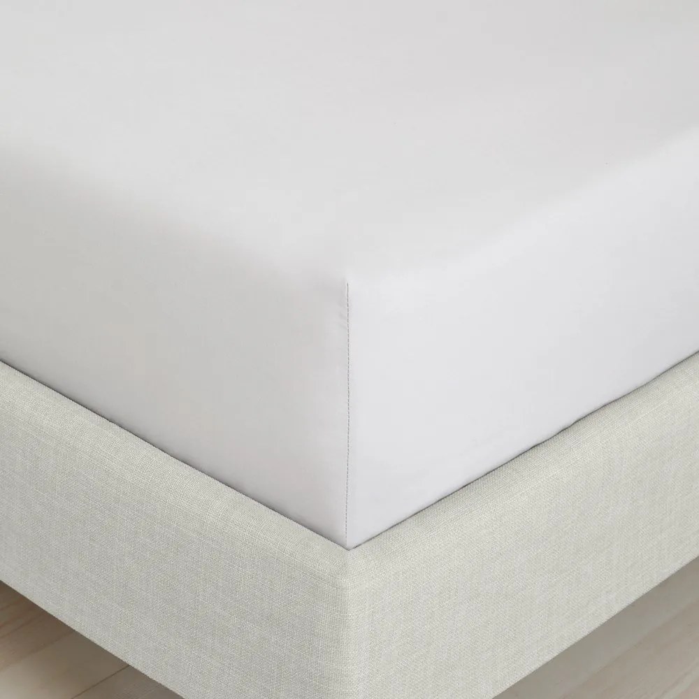 Szürke gumis pamut-perkál lepedő 90x190 cm Cotton Percale – Bianca
