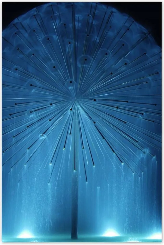 Poszterek 80x120 Pitypang Virág Virágok