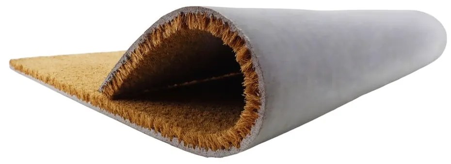 Kókuszrost lábtörlő 60x90 cm Mushrooms – Artsy Doormats