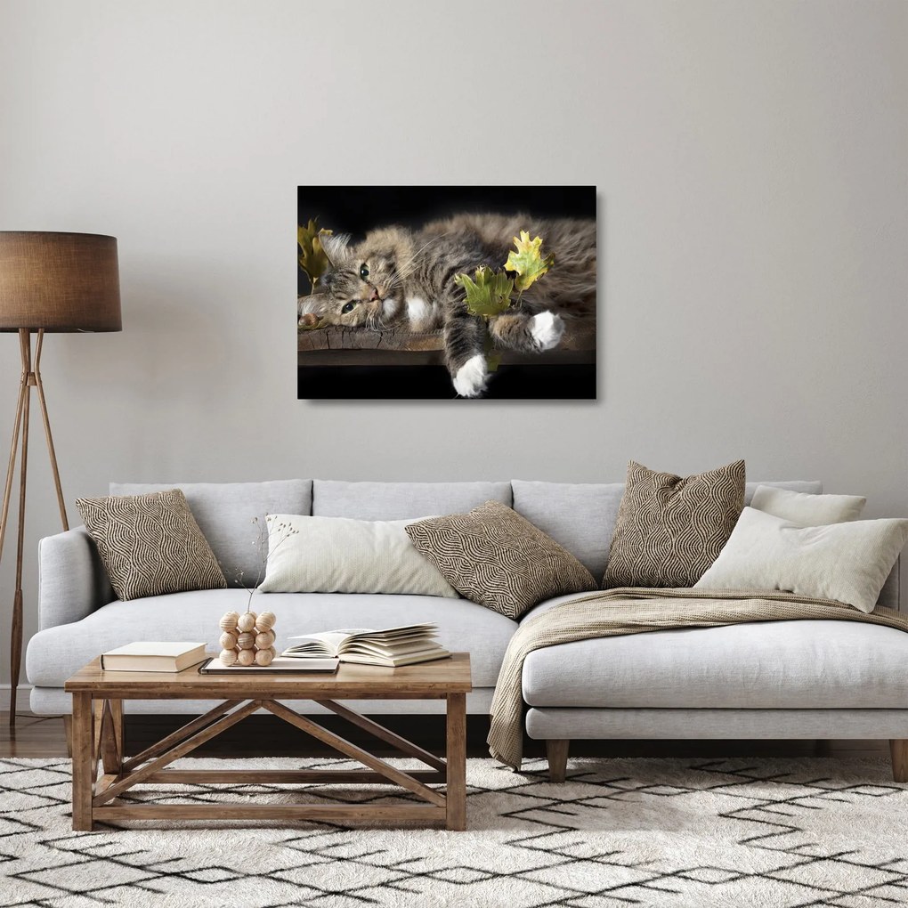 Üveg kép - Hazudós macska (70x50 cm)