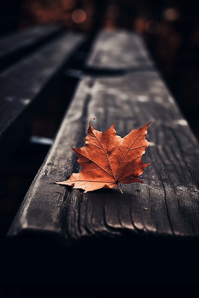 Poszter 40x60cm Egyetlen levél