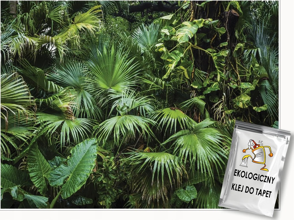 Fotótapéta Dzsungel Erdő Trópusi Levelek Hálószoba Nappali Tapéta 150x105