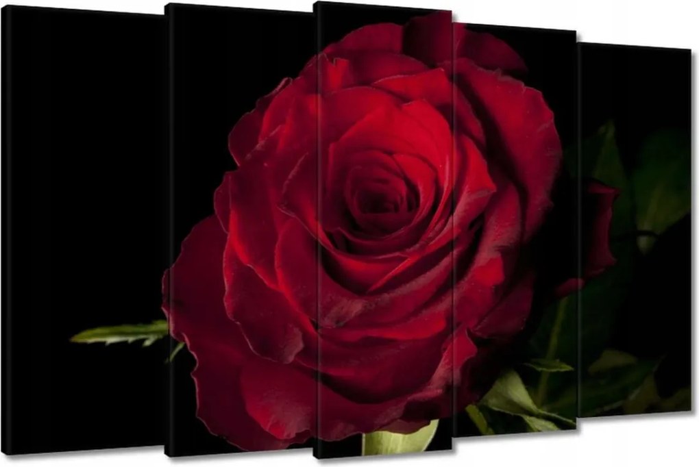 Vászonkép 150x95 Vörös rózsa