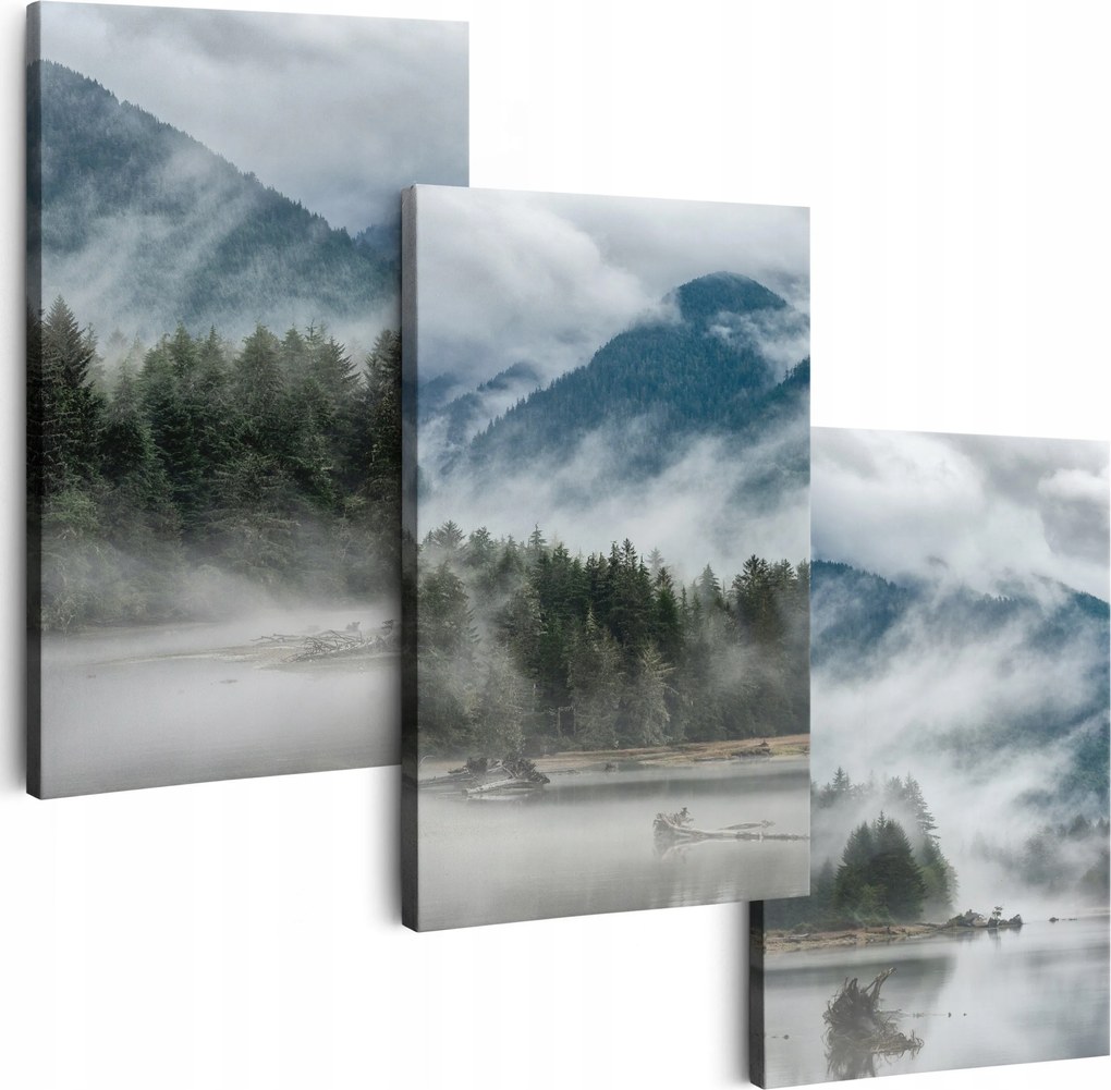 Vászonkép 150 cm **többféle minta** Nappali Festmények Köd Falra