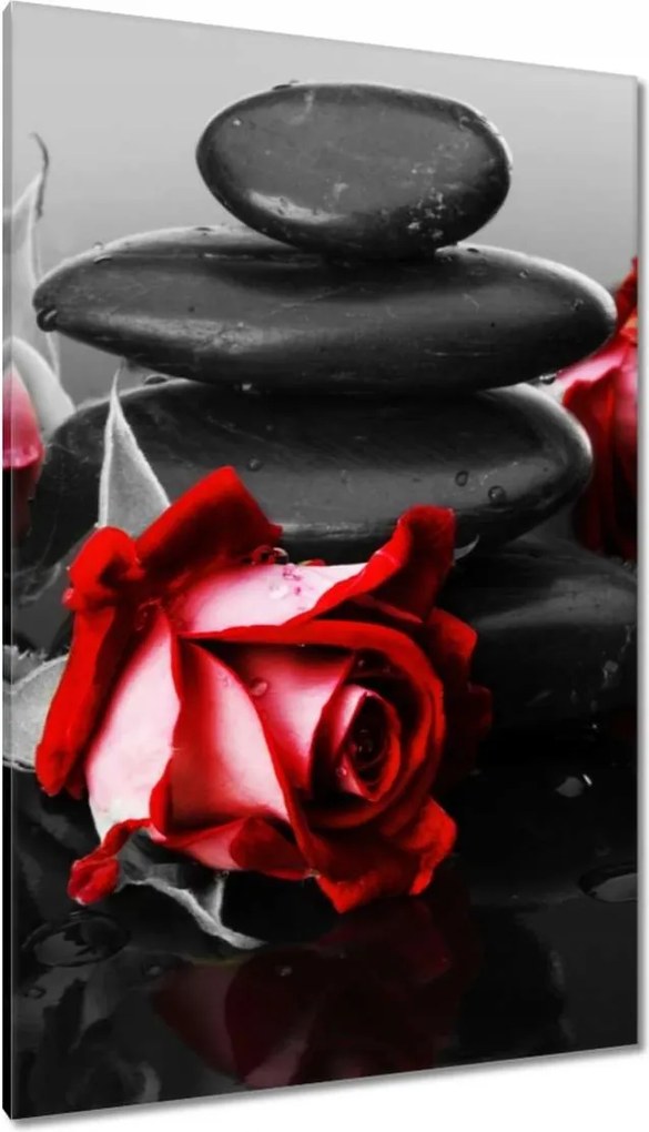 Vászonkép 80x120 Vörös rózsák Kövek